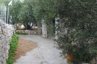 Secluded fisherman's cottage Cove Vitane, Pasman - 8465 - 3