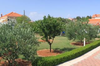 Studio Susica 8265a - 6