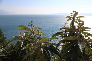 Apartments by the sea Marusici, Omis - 8632 - 4