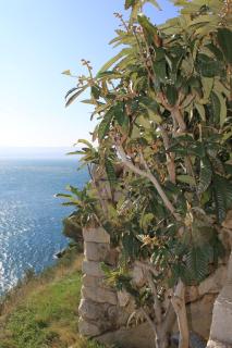 Apartments by the sea Marusici, Omis - 8632 - Mimice - 3