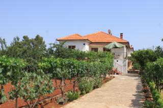 Apartments by the sea Ugljan - 8257 - Ugljan - 0