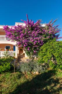 Apartments with a parking space Pasman - 8214 - Pašman - 9