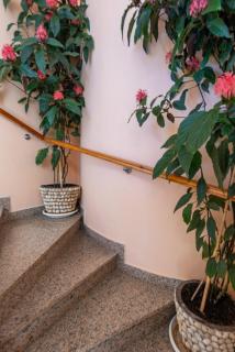 Apartments with a parking space Pasman - 8214 - Pašman - 3
