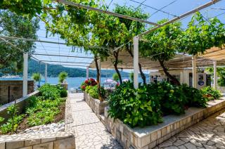 Apartments and rooms by the sea Slano, Dubrovnik - 8737 - Slano - 4