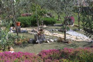 Apartments with a parking space Stari Grad, Hvar - 8708 - Stari Grad (Cittavecchia) - 3
