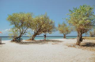 Laba Laba Bungalow - Gili Meno - 6