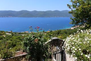 Holiday house with a parking space Viganj - Podac, Peljesac - 10141 - Viganj - 5
