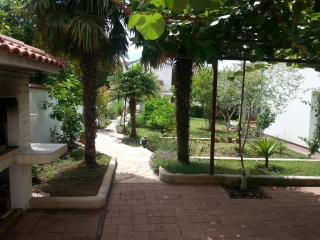 Apartments with a parking space Biograd na Moru, Biograd - 11150 - Biograd na Moru - 5