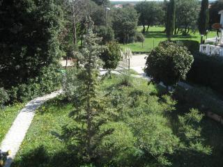 Apartments with parking space Barbariga, Fazana - 11193 - 4