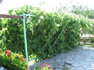 Apartments with a parking space Smoljanac, Plitvice - 11334 - 6