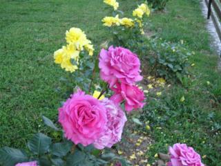 Apartments with a parking space Smoljanac, Plitvice - 11334 - 5