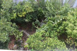 Apartment Makarska 11361b - 4