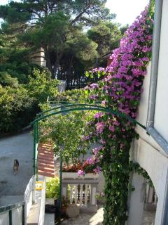 Apartment Jadrija 11356a - Šibenik - 4
