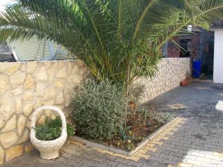 Apartments with parking space Biograd na Moru, Biograd - 11380 - 4