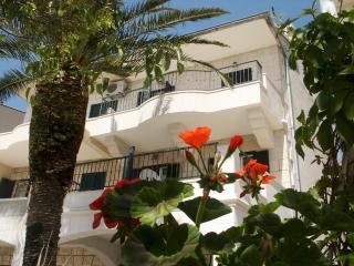 Apartments by the sea Podgora, Makarska - 11335 - Podgora - 0
