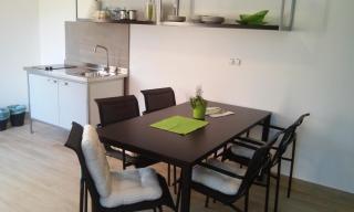 Apartments with a parking space Dajla, Novigrad - 11324 - 1