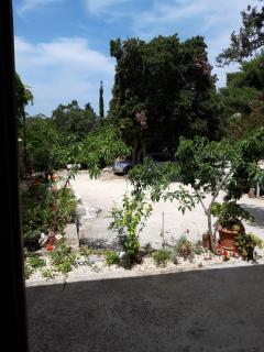 Apartments by the sea Cove Blaca, Mljet - 10416 - Maranovići - 2