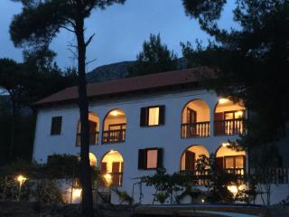 Apartments by the sea Ivan Dolac, Hvar - 11308 - 0