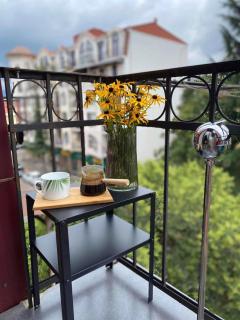Renovated Apartment in Central Batumi - Batumi - 8