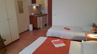 Studio Gradac 11332d - Gradac - 3
