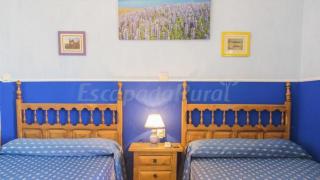 Casa Rural La Fragua de Manuel - 3