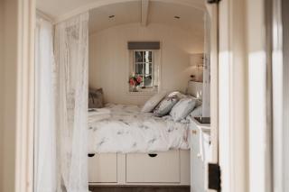 The Dragonfly Shepherds Hut - Colchester - 3