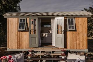 The Dragonfly Shepherds Hut - Colchester - 8
