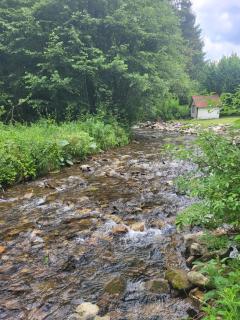 Dom Bystrá pod Chopkom & wellness - Bystrá - 3