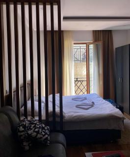 Apartman Milosavljevic-President Kop - 1