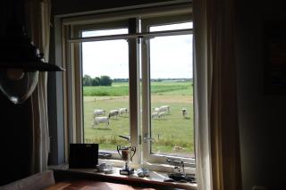 B&B Veluwemeerpension - Nunspeet - 1
