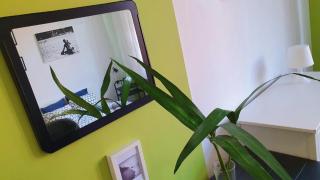 MUSIC & LOVE APARTMENTS and ROOMS - Kattowitz - 6