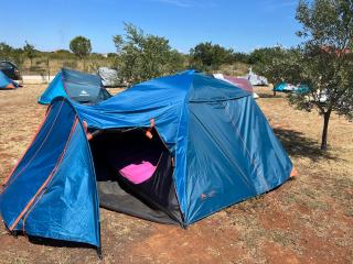 CAMPING LASTE - Smoković - 7