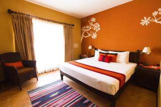 Temple Tree Resort & Spa - 8