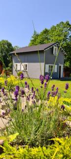 Domek z Sauną i balią jakuzii w głuszy - 6