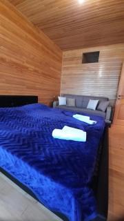 Cottage in Mestia - Mestia - 9