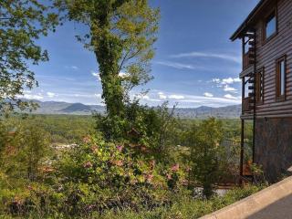 Our Smoky Mountain View - keyless entry - 4