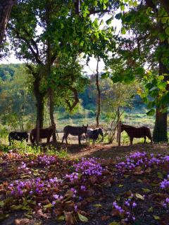 Maison D'hôtes Sainte-Marie - 3