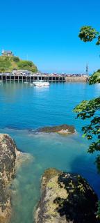 The Brookhouse. Cheerful tiny house with Seaview. - Ilfracombe - 6