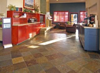 Best Western Vista Inn at the Airport - 6