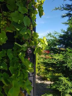 B&B WELKOM Zierikzee - Zierikzee - 7