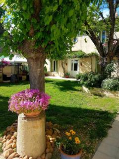 Lacanepière - Générac - 4
