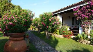 Villa La Liccia Misia - Santa Teresa di Gallura - 0