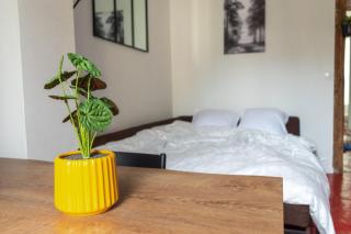 Appartement 2 pièces chic et cosy à Paris - Gentilly - 3