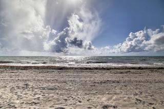 Walk to Beach Pet-Friendly Hollywood Oasis! - 9