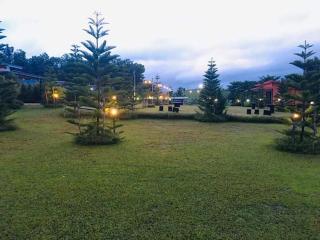 น็อคดาวน์ - 5