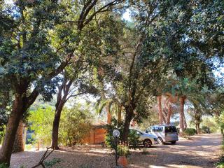 Casa i Forni a Porto Azzurro - Goelba - Porto Azzurro - 7