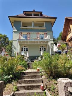 Haus Silberdistel - Todtmoos - 8