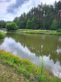 Leśniewo Czarna Góra - Leśniewo - 1