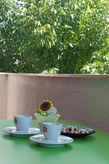 Rana Apartment - Ohrid - 9