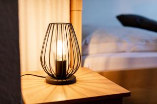 Pension & Gaststätte Zur Salzgrube - Sondershausen - 5